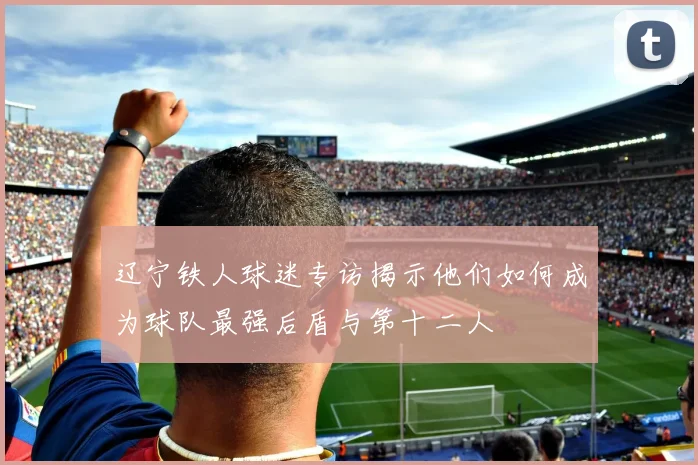辽宁铁人球迷专访揭示他们如何成为球队最强后盾与第十二人