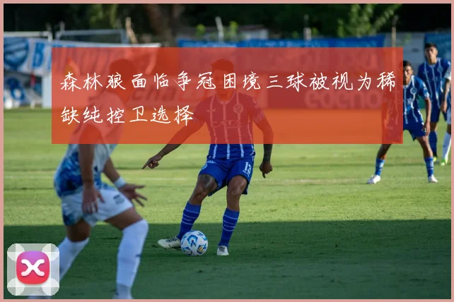 森林狼面临争冠困境三球被视为稀缺纯控卫选择